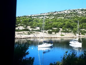 bay and sailboats zuri