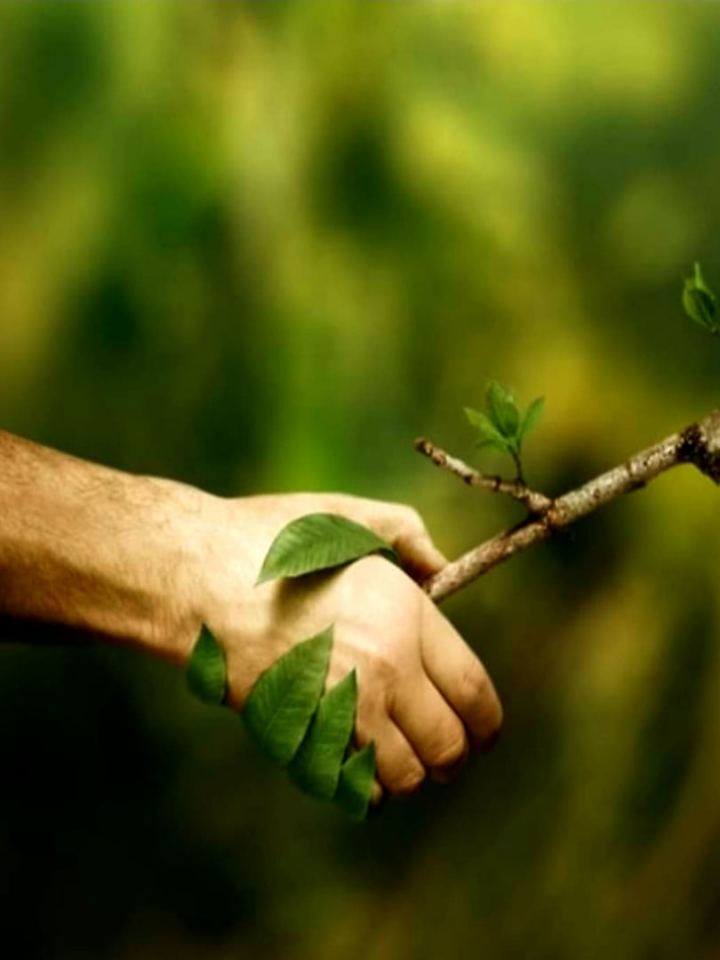 nature connection zuri