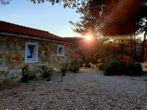 stone house sun zuri