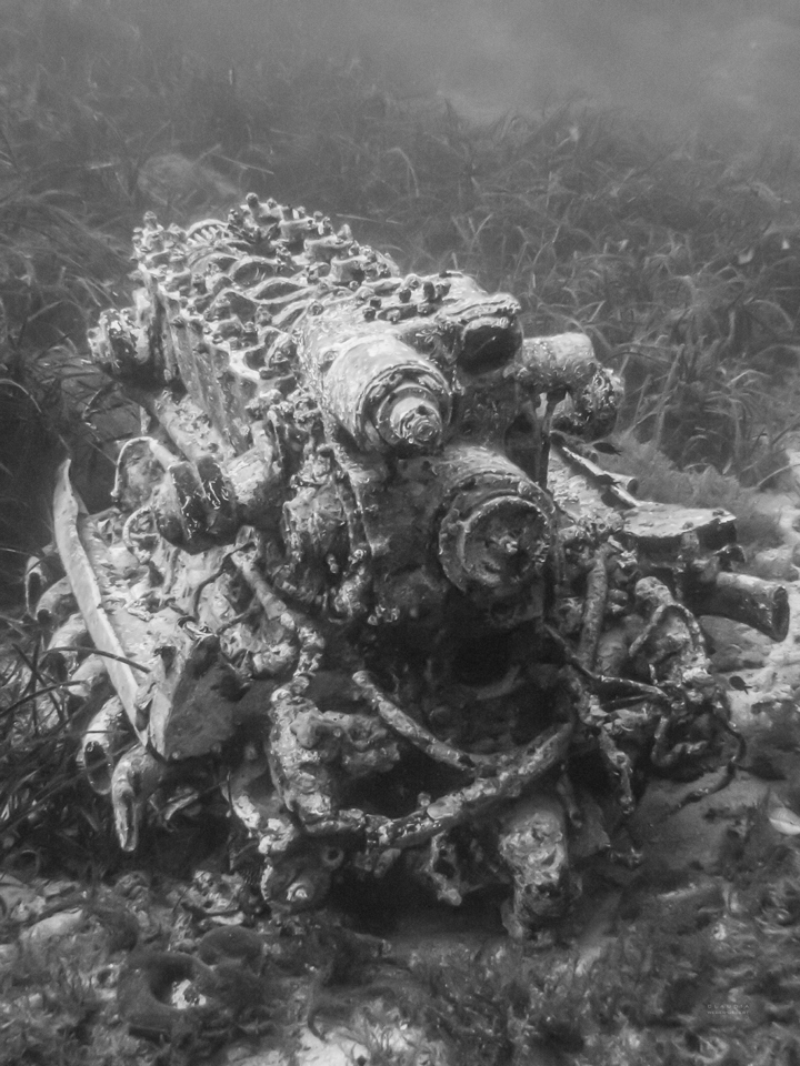 stuka engine block Zuri