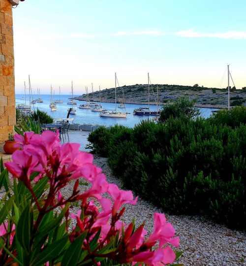 vies from house zuri